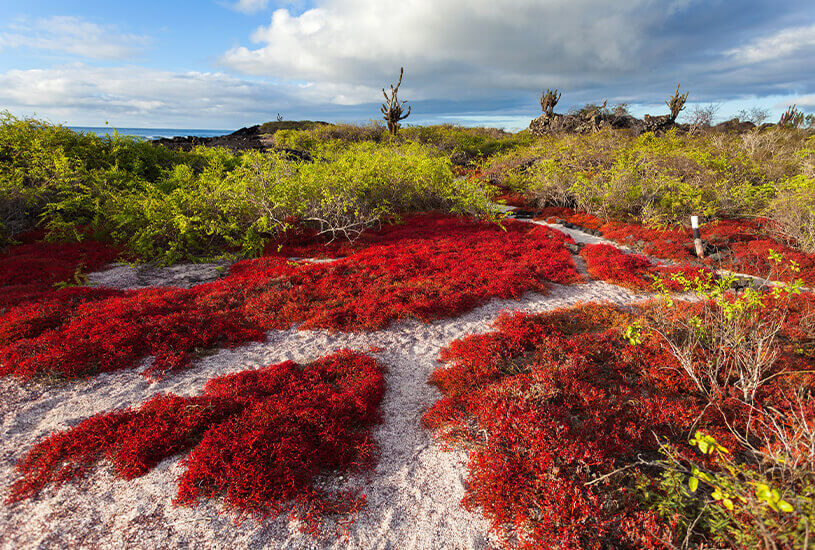 Floreana, Galapagos Islands